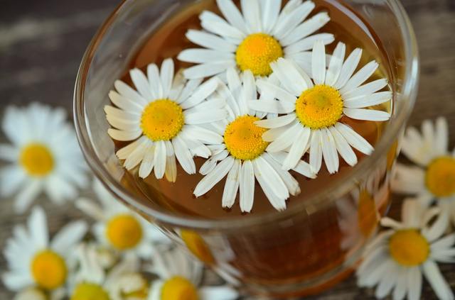 Chamomile tea for teenage acne