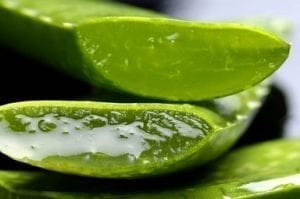 How to fade acne scars with aloe vera?